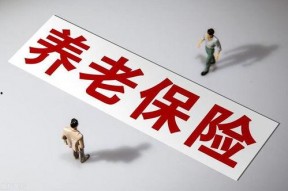 国产a级一级久久毛片,揭秘一级久久毛片背后的故事